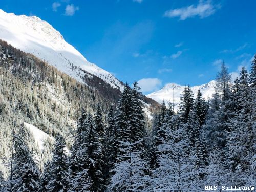 Impressionen Wintersporttag - Faschingsdienstag