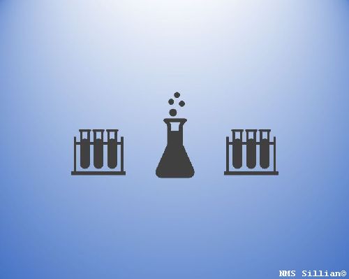 Experimetiernachmittag