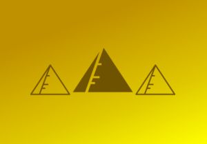 Klasse 2a erkundet das 