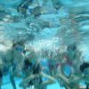schwimmwoche06