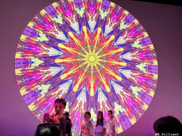 exkursion_linz_07