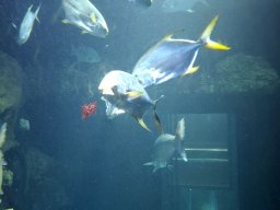 wienwoche_26_016