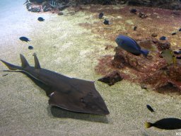 wienwoche_26_024