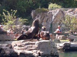 wienwoche_26_057